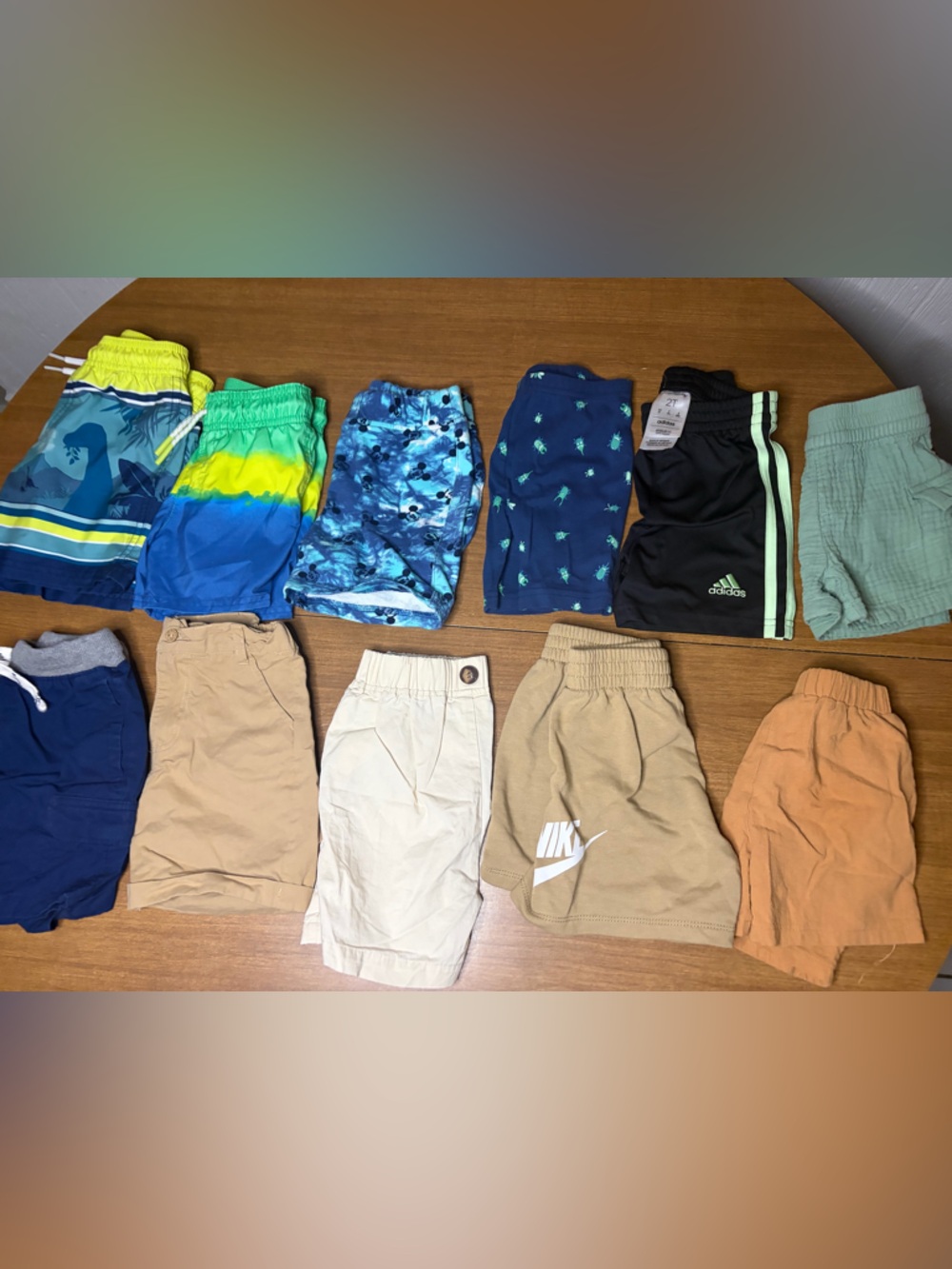 Boys 2T Summer Shorts and Swim Bundle